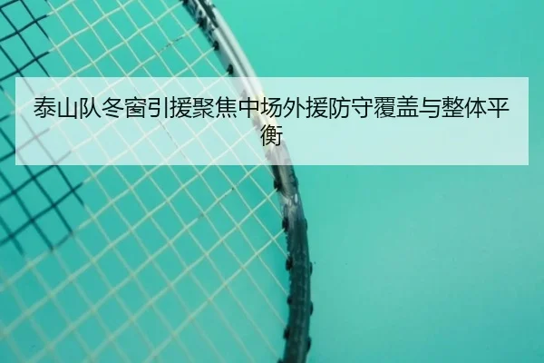 泰山队冬窗引援聚焦中场外援防守覆盖与整体平衡