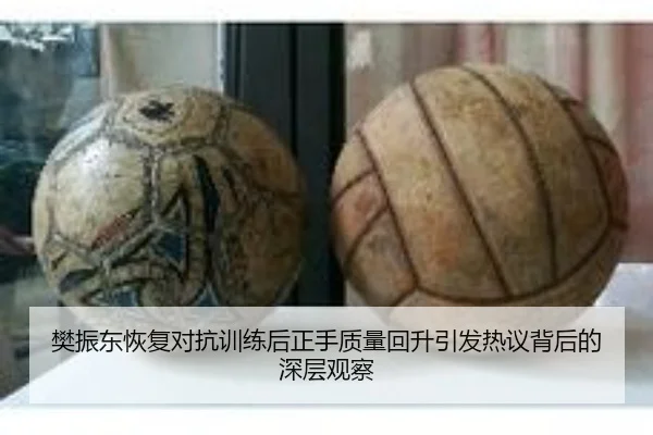 樊振东恢复对抗训练后正手质量回升引发热议背后的深层观察